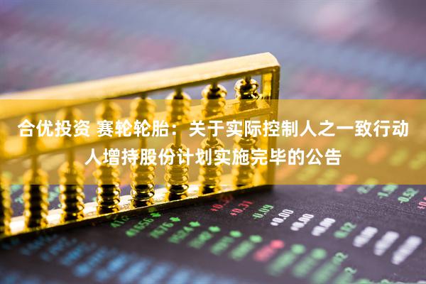 合优投资 赛轮轮胎：关于实际控制人之一致行动人增持股份计划实施完毕的公告