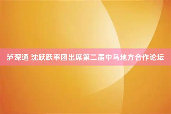 泸深通 沈跃跃率团出席第二届中乌地方合作论坛