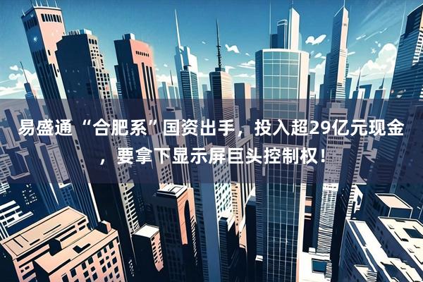 易盛通 “合肥系”国资出手，投入超29亿元现金，要拿下显示屏巨头控制权！