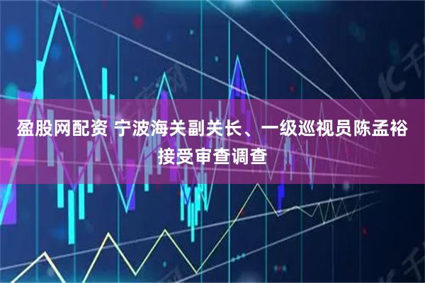 盈股网配资 宁波海关副关长、一级巡视员陈孟裕接受审查调查