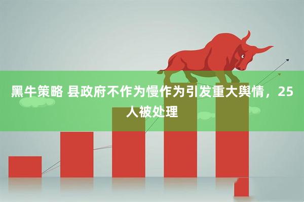黑牛策略 县政府不作为慢作为引发重大舆情，25人被处理