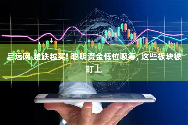 启远网 越跌越买! 聪明资金低位吸筹, 这些板块被盯上