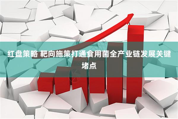 红盘策略 靶向施策打通食用菌全产业链发展关键堵点