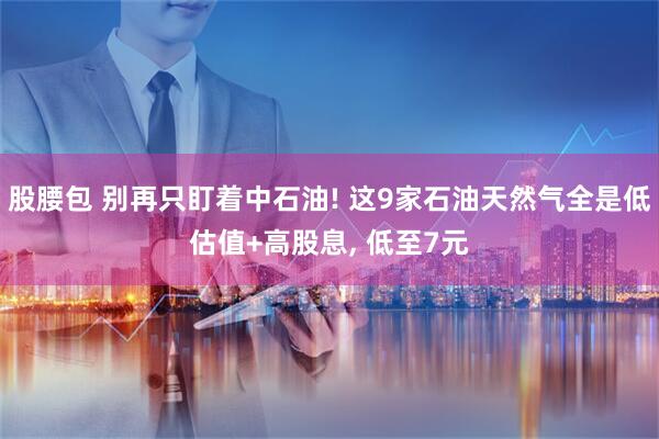 股腰包 别再只盯着中石油! 这9家石油天然气全是低估值+高股息, 低至7元