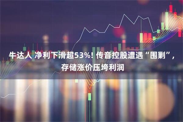 牛达人 净利下滑超53%! 传音控股遭遇“围剿”, 存储涨价压垮利润