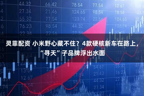 灵菲配资 小米野心藏不住？4款硬核新车在路上，“寻天”子品牌浮出水面
